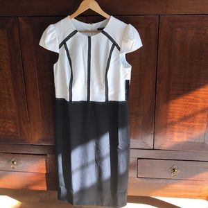 Maggy London Color Block Sheath Dress